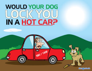 Don't Lock Your Dog in a Hot Car